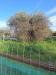 Terreno Agricolo in vendita a Grosseto - 06, 14.jpg