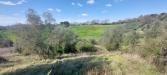 Terreno Agricolo in vendita a Civitella Paganico - 02, Terreno