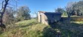 Terreno Agricolo in vendita a Civitella Paganico - 04, Annesso