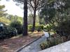 Appartamento in vendita con giardino a Rosignano Marittimo - castiglioncello - 02