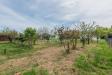 Villa in vendita con giardino a Riccione in viale venezia 53 - 09, Foto 9