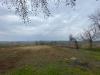 Terreno Agricolo in vendita a Ziano Piacentino - 03, IMG-20230309-WA0004.jpg