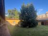 Villa in vendita con giardino a Massa - viali - 03