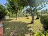 Casa indipendente in vendita con giardino a Massa - ronchi - 02
