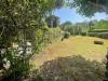 Casa indipendente in vendita con giardino a Massa - ronchi - 03