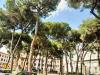 Appartamento in vendita da ristrutturare a Pisa - santa marta - 02