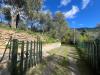 Casa indipendente in vendita con giardino a Calci - 05