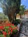 Villa in vendita con giardino a Massa - mirteto - 06