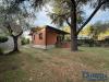 Villa in vendita con giardino a Massa - 03