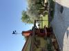 Casa indipendente in vendita con giardino a Piove di Sacco - 04