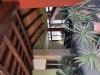Casa indipendente in vendita con giardino a Piove di Sacco - 05