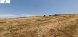 Terreno Agricolo in vendita a Ariano Irpino in contrada trave - 03, Foto 3