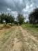 Terreno Agricolo in vendita a Ariano Irpino in contrada san tommaso - 10, Foto 10