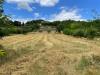 Terreno Agricolo in vendita a Ariano Irpino in contrada san tommaso - 04, Foto 4