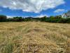 Terreno Agricolo in vendita a Ariano Irpino in contrada san tommaso - 09, Foto 9