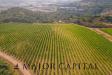 Terreno Agricolo in vendita a Calangianus in via sigara - 04, Foto 4
