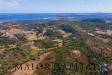 Terreno Agricolo in vendita a Santa Teresa Gallura in san pasquale - 04, Foto 4