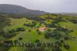 Terreno Agricolo in vendita a Berchidda in loc. osseddu - 06, Foto 6