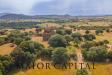 Terreno Agricolo in vendita a Oschiri in localit cuccuros - 04, Foto 4
