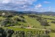 Terreno Agricolo in vendita a Arzachena in sp 14 - 06, Foto 6