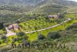 Villa in vendita con giardino a Olbia in via melissa 24 - 03, Foto 3