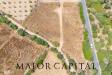 Terreno Edificabile in vendita a Loiri Porto San Paolo in via l'alzolu - 03, Foto 3
