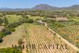 Villa in vendita con giardino a Olbia in san vittore - 05, Foto 5