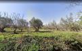 Terreno Agricolo in vendita a Borgia in contrada fiego - 03, Foto 3