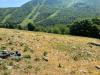 Terreno Agricolo in vendita a Garessio in colla di valcasotto - 06, fronte fabbricato