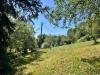 Casa indipendente in vendita con giardino a Mondov� in strada statale 28 sud 42 - 07, terreno