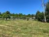 Casa indipendente in vendita con giardino a Mondov� in strada statale 28 sud 42 - 08, terreno
