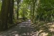 Appartamento in vendita con giardino a Torino in viale thovez 43/12 - 06, Foto 6