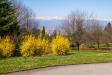 Villa in vendita con giardino a Torino in strada val san martino inferiore 285 - 07, Foto 7