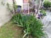 Casa indipendente in vendita con giardino a Mallare in via vico 2 - 08, Foto 8