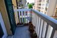 Appartamento in vendita a Savona in via crosalunga inferiore 1 - 06, Balcone