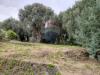 Appartamento in vendita con box a Varazze - 06, Giardino