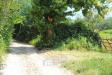 Terreno Agricolo in vendita a Palombara Sabina in strada della fornace snc - 10, Foto 10
