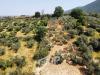 Terreno Agricolo in vendita a Palombara Sabina in strada della fornace snc - 02, Foto 2
