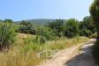 Terreno Agricolo in vendita a Palombara Sabina in strada della fornace snc - 07, Foto 7