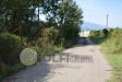 Terreno Edificabile in vendita a Pignataro Interamna - 02, Foto 2