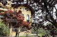 Appartamento in vendita con giardino a Caluso - 06, alberi.JPG
