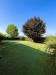 Villa in vendita con giardino a Mazz - 06, alberi.jpeg
