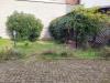 Casa indipendente in vendita con giardino a Cuceglio - 03, 1731071361317.jpg
