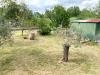 Appartamento in vendita con giardino a Ameglia - 03