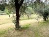 Appartamento in vendita con giardino a Ameglia - 04