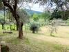 Appartamento in vendita con giardino a Ameglia - 05