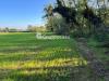 Terreno Agricolo in vendita a Magenta - 06, Foto 7