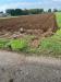 Terreno Agricolo in vendita a Bernate Ticino in via vicinale del longo - 05, Foto 5