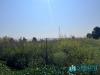 Terreno Industriale in vendita a Abbiategrasso - 10, Foto 10