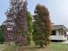 Villa in vendita a Refrancore - collina - 06
